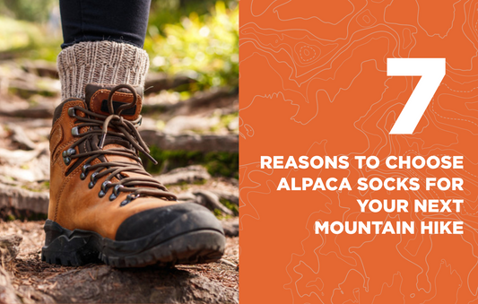 7 Reasons to Choose Alpaca Socks for Your Next Mountain Hike