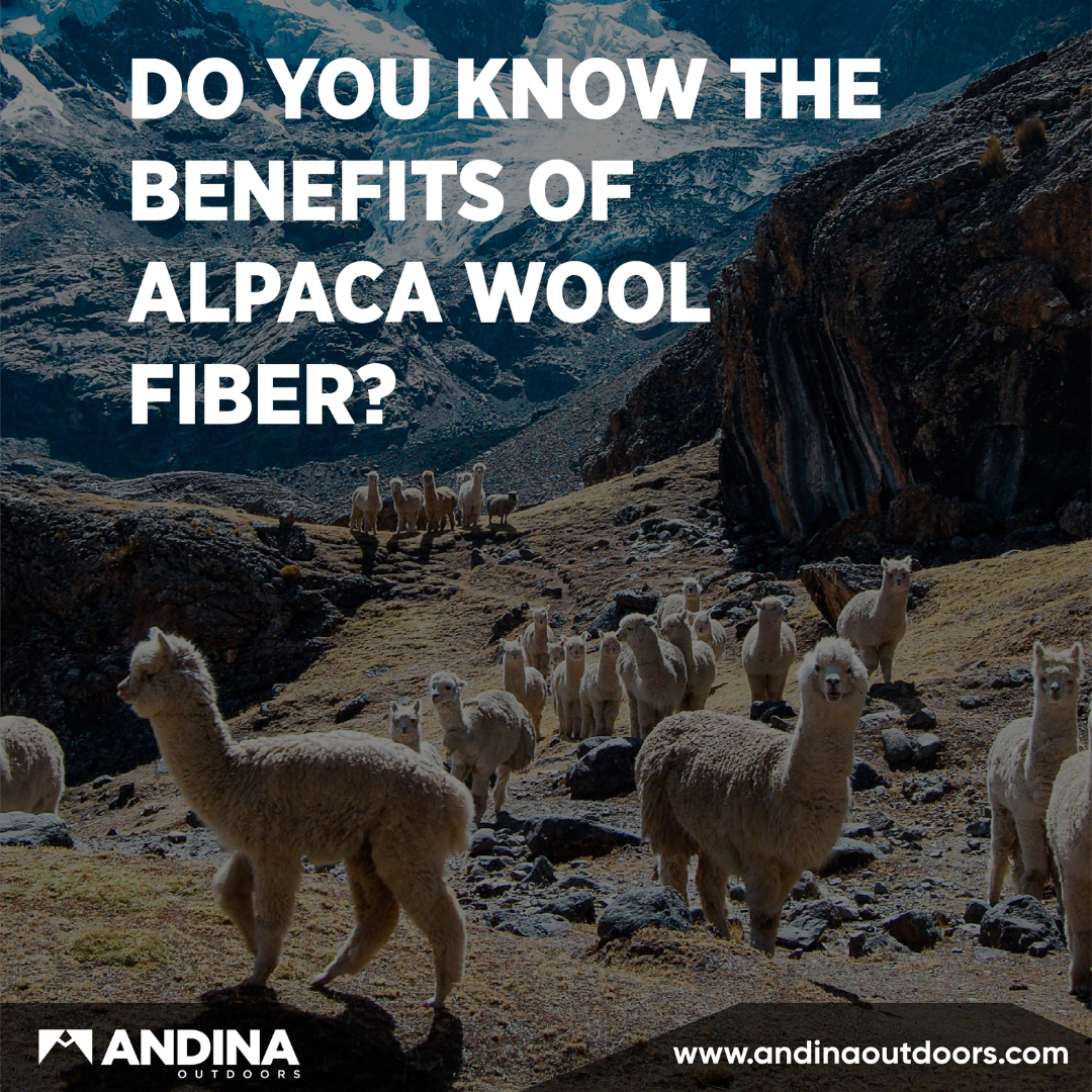 Alpaca, merino wool, bamboo, trekking, hiking socks