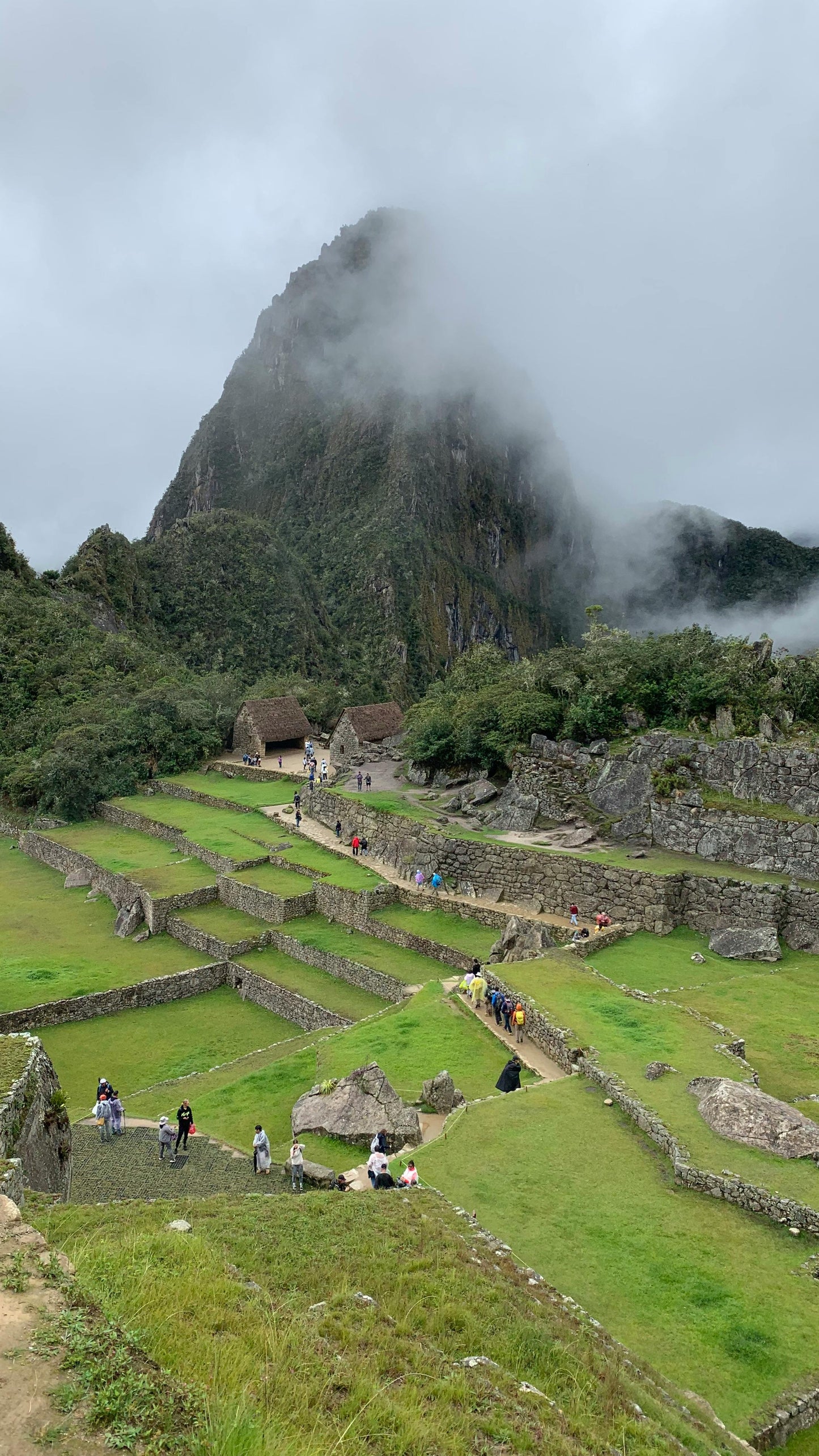 Machu Picchu with terraced fields and misty mountain