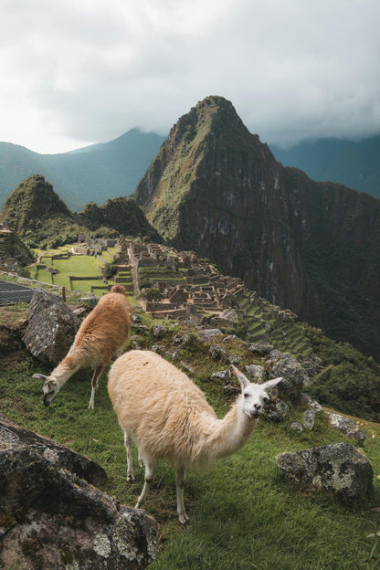 21-Day Peru Endurance Tour – Trail Running in Cusco, Colca & Huaraz