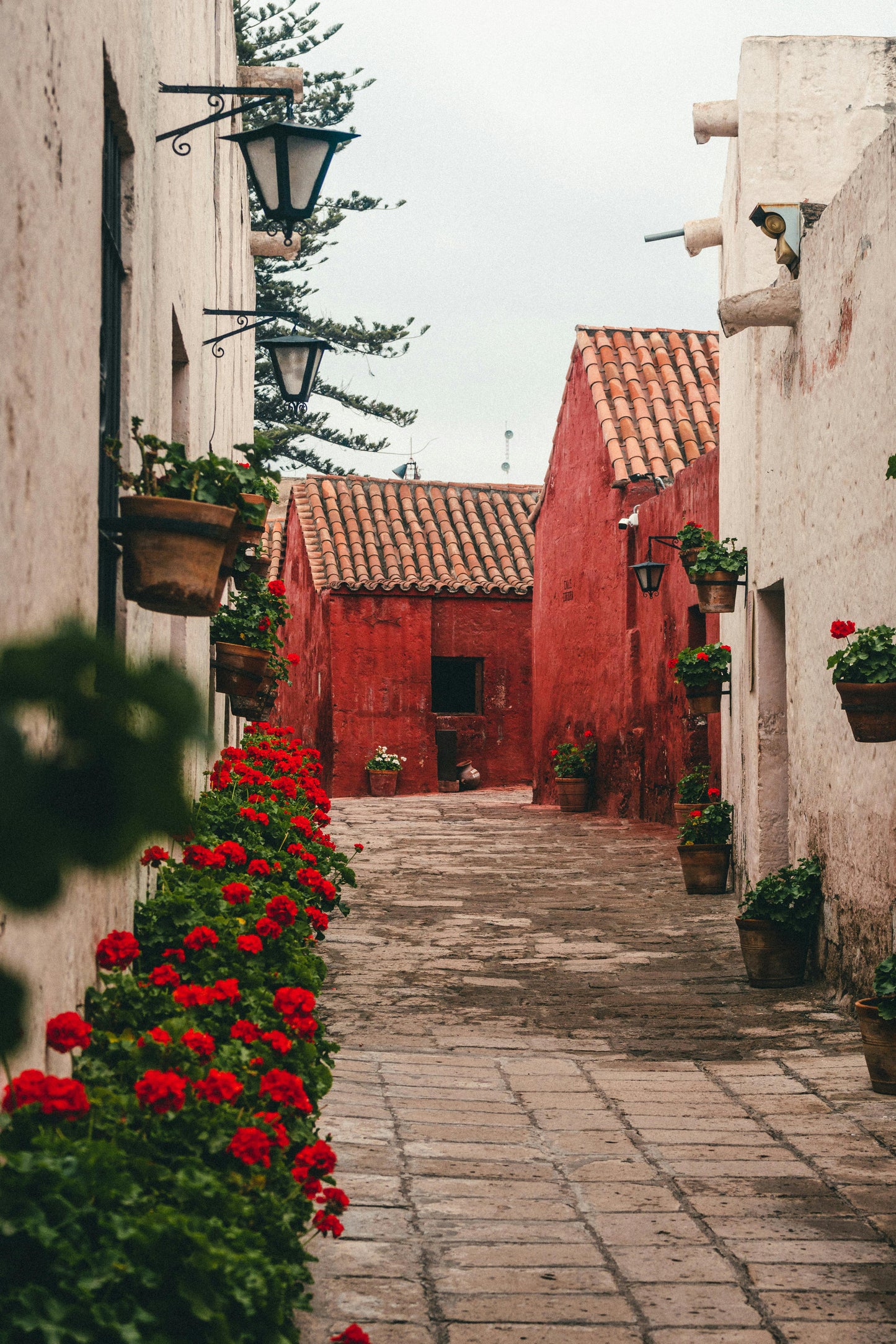 12-Day Andes Running Retreat – Arequipa Marathon & Mountain Trails