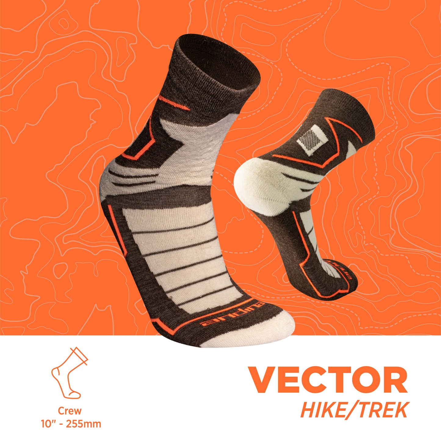 vectorial | Calcetines de caminata y caminata 