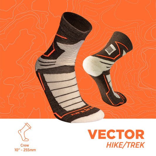 vectorial | Calcetines de caminata y caminata 